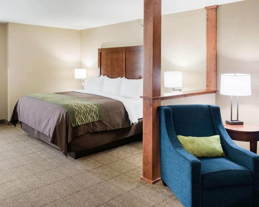 Comfort Inn & Suites West - Medical Center Rochester Room photo