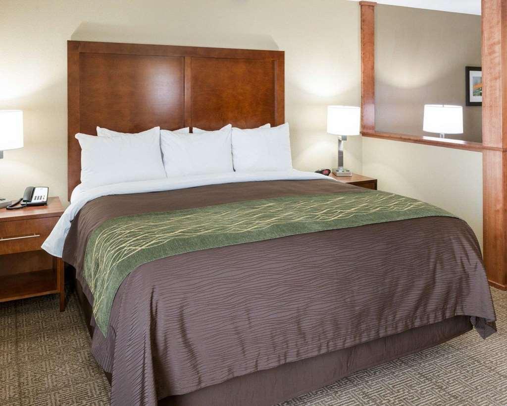 Comfort Inn & Suites West - Medical Center Rochester Room photo